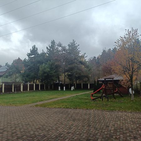 Vila A&N Timisu de Jos Luaran gambar