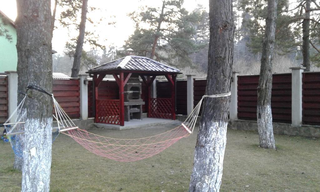 Vila A&N Timisu de Jos Luaran gambar